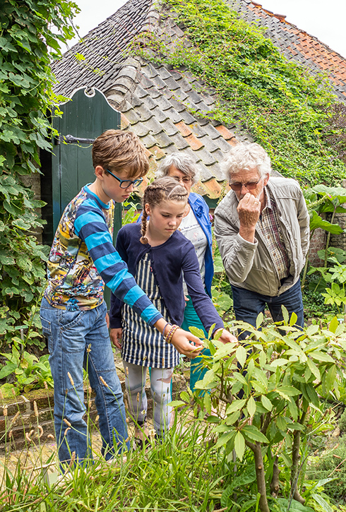 Grootouders ruiken met hun kleinkinderen aan een plant in de kruidentuin van Oudheidkamer Texel.